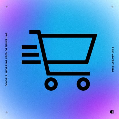 08 -  Paid Ads - Google shopping Feed optimierung